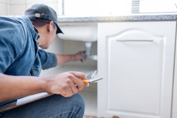 Best Clogged Drain Plumber  in Winter Gardens, CA