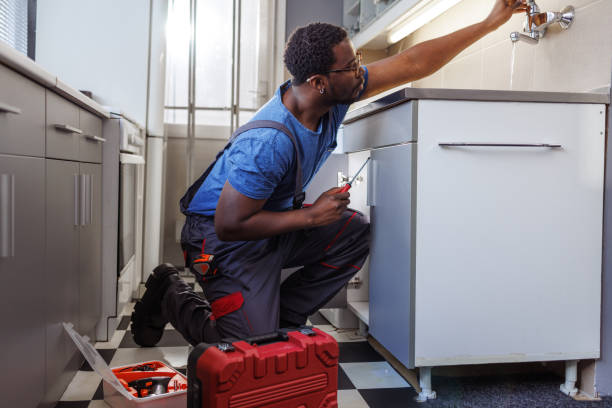 Best Plumbing Inspection Services  in Winter Gardens, CA